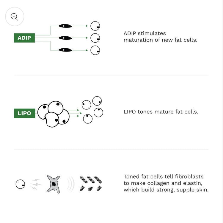 Adipeau Volume Cream